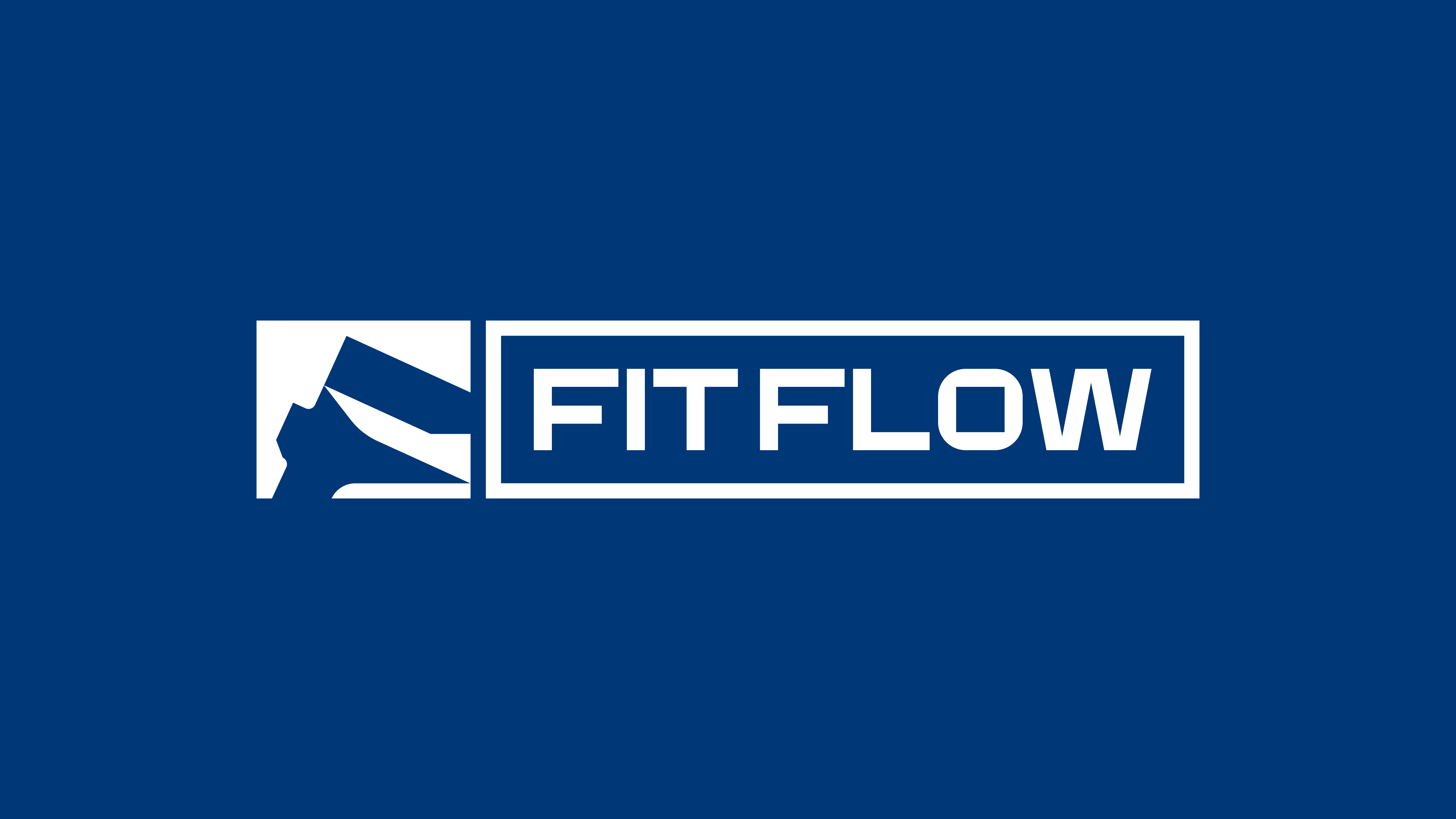 FitFlow — Identidade Visual